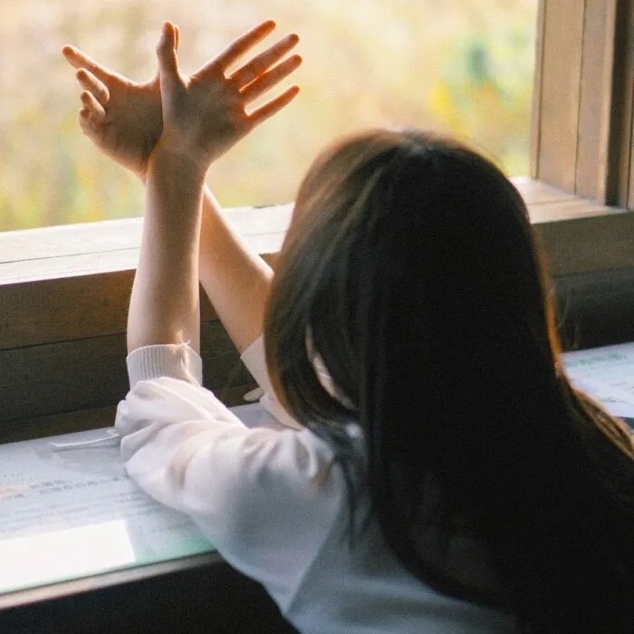 双城之战：天堑